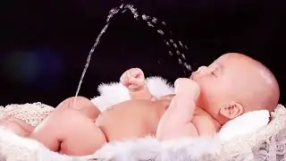 Cutest Baby Doing Hilarious Things | Funny Baby Videos