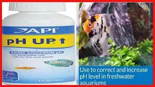 API pH UP pH adjuster, Raises freshwater aquarium water pH to the level your fish need to thrive