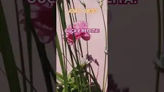 SURPRESA #bondade #noticias #amorefé #recado #aflições #reflexão #ânimo #coragem #confiança #avançar