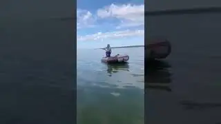 Зачётный улов🎣🦈🦈🦈