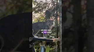 реально ли накопить лям? 