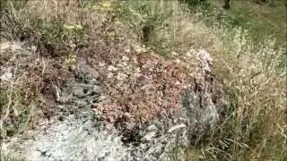 Passeggiata a Rossiglione