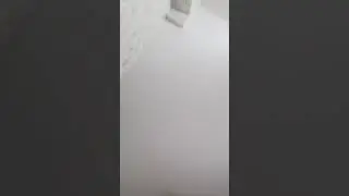 30 июня 2024 г.