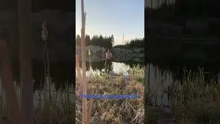 31 мая 2023 г.