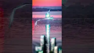 workout in ai mode gym