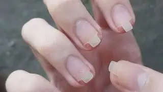 random memes i found on the internet ylyl PT. 510