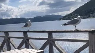 Day 2 in the hotell Norway🇳🇴VLOG