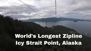Worlds Longest Zipline in Icy Strait Point Alaska with the Disney Wonder Cruise & Whale Watching too