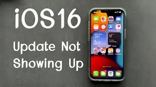 [SOLVED] iOS 16 Update Not Showing Up on My iPhone