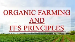ORGANIC FARMING WITH THEIR ADVANTAGE , DISADVANTAGE AND PRINCIPLES #viralvideo #trending #youtube