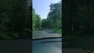 Я ВСЁ! СКАЗАЛ! #любовь #жизненный опыт#