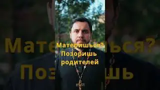 Мат - признак необразованности #священник #проповедь #православие #ответсвященника #культура #вера