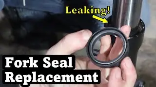 Replace Your Fork Seals! | Suzuki DL650 V-Strom/Non-Inverted Fork Repair