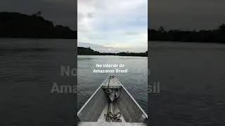 PasseandoNo meio da floresta amazônica Brasil￼