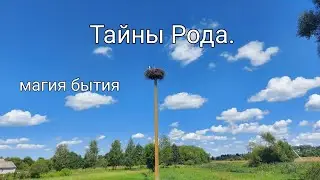 Тайны Рода. О чем Вам хотят сказать предки?❤👨‍👩‍👦