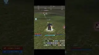МНЕНИЕ ТОП ИГРОКА НАСЧЕТ ФСа В Lineage 2 Essence 