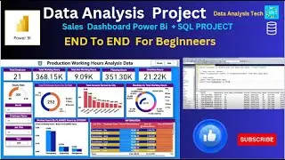 power Bi & SQL Server l Data Analysis Portfolio l End To End l Beginner To Expert
