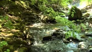 National Park 