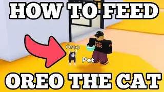 How to feed OREO the CAT in Horse Valley 2 ROBLOX