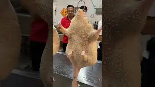 Asian street food 烧鹅