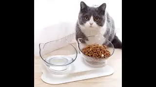 Non-slip Cat Bowls Double Pet Bowls With Raised Stand