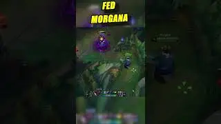Fed Morgana 
