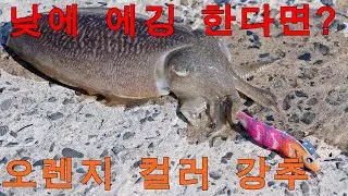 낮에 오렌지 컬러 써보세요[Eging]