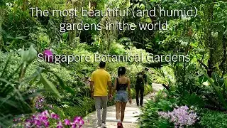 The most stunning garden in the world - Singapore Botanical Garden - Tropical Hike - Ground Footage