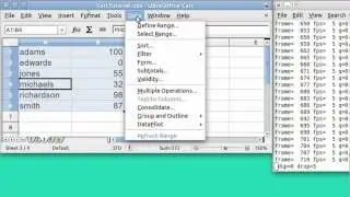 spreadsheet basics SORT COMMAND   1