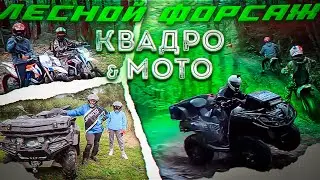 Forest adventure on ATVs and motorcycles. Cfmoto, Motoland, BSE