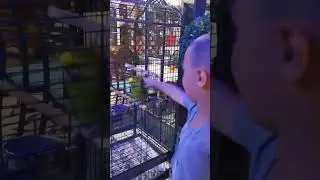 Greece 2024. Греция 2024. Олимпийский пляж.Parrot. Самый приветливый попугай. Подпишись. #2024