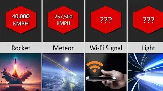 Timeline: Speeds of Various Objects, Ranked from Lowest to Highest.