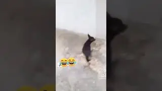 как создать монстра?🤣🤣🤣