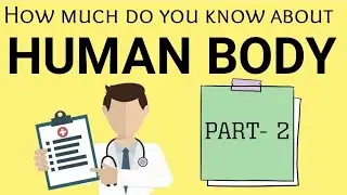 Human Body Quiz | Part 2 |