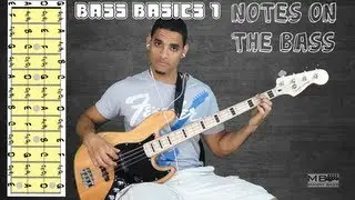 Bass Basics 1: The notes on the Bass