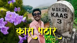 Kaas Pathar the Flower Plateau 🌸 | 🌼फुलांच पठार कास पठार 🌼 | Vlog 12 Travel and Explore