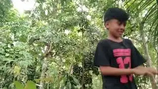 Cari kayu film pendek kampung jengek