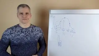 Почему в магазинах постоянно акции