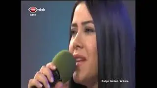SEVDA GÜL   BİR ACI RÜZGAR ESERSE