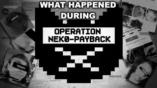 THE OMEGLE CAT KILLER, And How The Internet Found her. Broken Oneway in OPERATION NEKO-PAYBACK