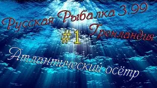 Русская рыбалка 3.99 (#1)Ловим Атлантического осётра.