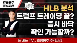 [오전시황]  HLB 분석 / 트럼프 트레이딩 끝? / 증시 바닥 확인 가능할까?