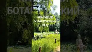 Как живут в Венгрии. Город Сегед.