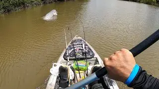 DE VUELTA AL RIO : REVIVIENDO NUESTRAS MEJORES AVENTURAS DE PESCA