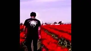 drippin so pretty - Dope Sick (prod. Charlie Shuffler)