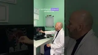 Грудная диафрагма