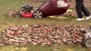 The lawnmower part that wins all the leaf bagging: The Big Leaf Bag