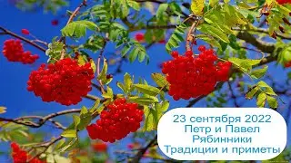 23 сентября 2022 Святители Петр и Павел. Рябинники. Приметы.