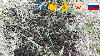 Хроніки копа 17.09.2023, показую VDI сигналу та знахідку на XP ORX