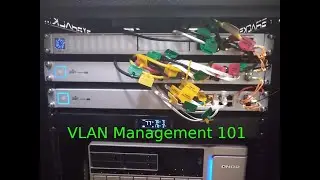 VLAN Management 101